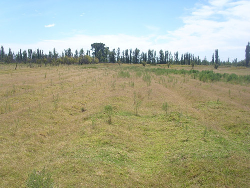 Imagen 8 de 8 de Surmendoza La Montilla1 Dueño Vende Lindo Y Amplio Terreno Rural 2100m2