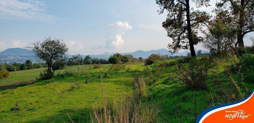 Terreno En Venta Casi Plano Cercano A Amecameca