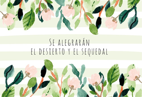 Tarjetas De · Mensajes Cristianos · Packx100 · Flores Color Blanco