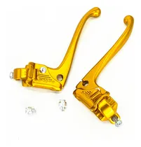 Comprar Manete De Freio (par) Dia-compe Dourado Caloi Cruiser 22,2mm