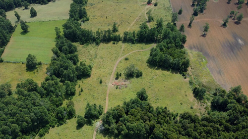 Campo En Venta En Cañitas, Los Muermos, Región De Los Lagos