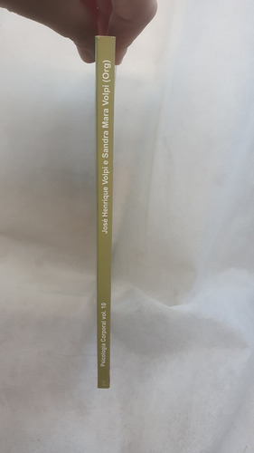 Livro Psicologia Corporal Volume 10 - José Henrique Volpi ; Sandra Mara Volpi - Editora Centro Reichiano (Usado)