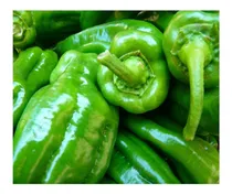 Comprar Semillas De Chile Poblano O Ancho - Capsicum Annuum 10 Grs.