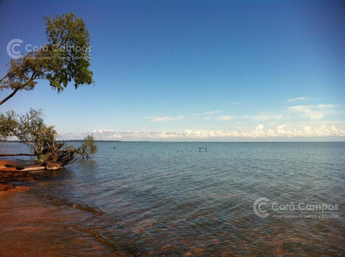 Imagen 3 de 8 de Se Vende Quinta De 1.5 Ha. Sobre Rio Paraná. Santa Tecla. Itu. Corrientes