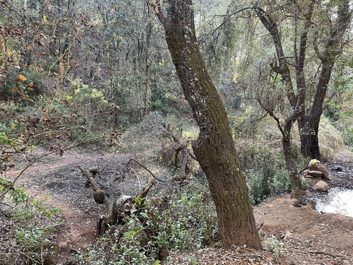 Terreno En Venta En Santa Rosa Con Acceso Vehicular Y Ojo De