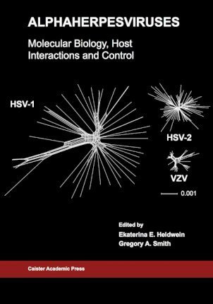 Libro Alphaherpesviruses : Molecular Biology, Host Intera...