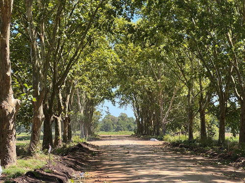 Venta - Lote Interno - Estancia Carabassa | Vco Propiedades