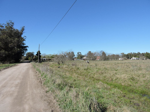Imagen 5 de 7 de 1,5 Hectareas En Veronica, Punta Indio