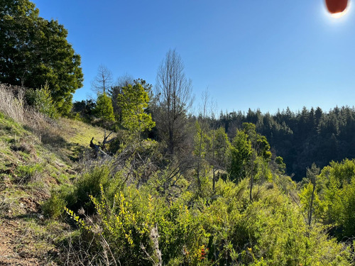 Hermoso Terreno En Loteo Vista Cuarzo , Pichilemu