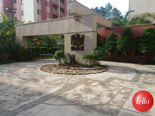 Imagem 9 de 14 de Apartamento - Ref: 151017