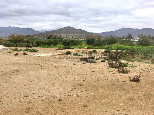 Imagen 5 de 8 de Sitio En Arriendo En La Serena