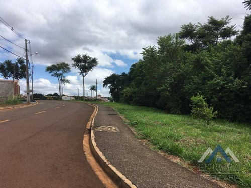 Terreno À Venda, 250 M² Por R$ 115.000,00 - Jardim Barra Forest - Londrina/pr - Te0523