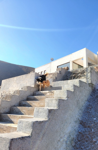 Parcela Condominio Fundo Loreto Incluye Agua-luz-g.c-jardine