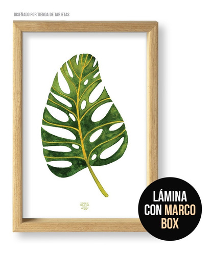 Imagen 6 de 10 de Set De 3 Cuadros (3 A4) Diseños Tropicales A Elección