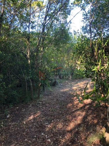 Escpectacular Vista!!, Se Vende Chacra Con Casa En Zona De Maldonado A 5 Km De Ruta 39