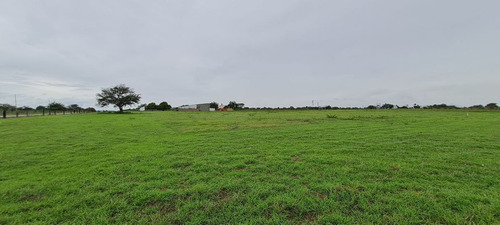 Aeródromo En Venta En Tequesquitengo, Morelos.