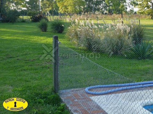Imagen 7 de 17 de 1384hp- Chacra Pileta Galpón Casa Huéspedes Rp 192 - Torres