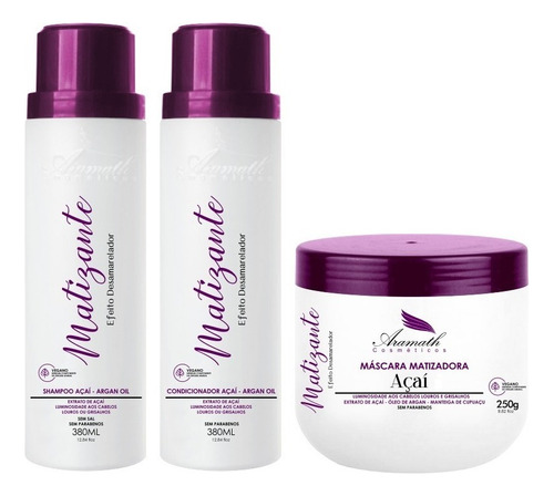 Kit Shampoo, Cond E Mascara Matizante Aramath Home Care