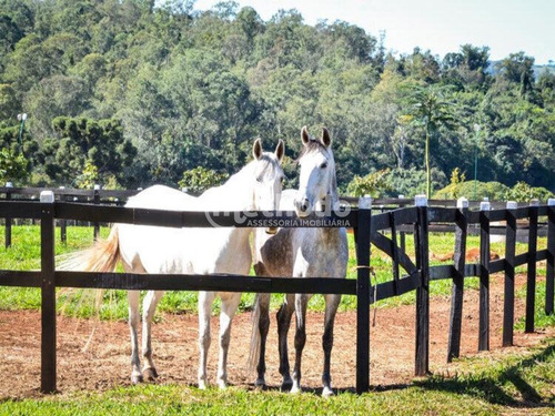 Terreno À Venda Haras Patente Jaguariúna Sp - Te00146 - 68211321