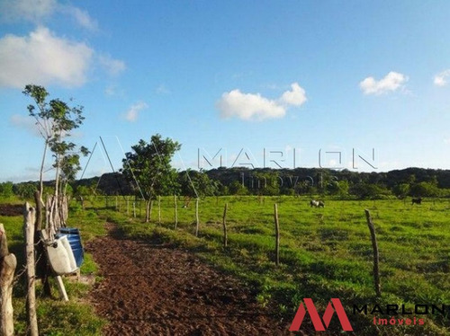 Imagem 7 de 10 de Terreno Ceará Mirim
