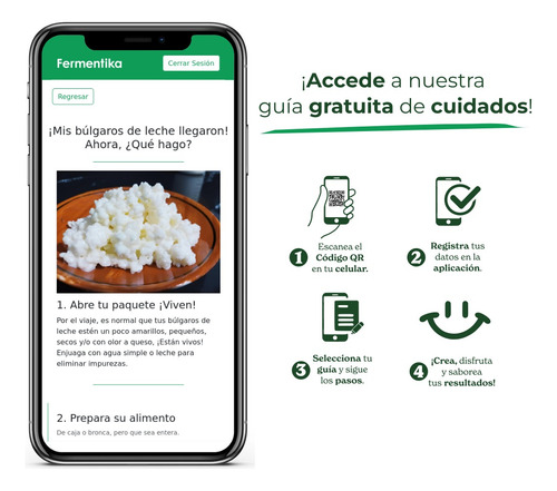 Probioticos Lactobacilos Búlgaros De Leche Kefir