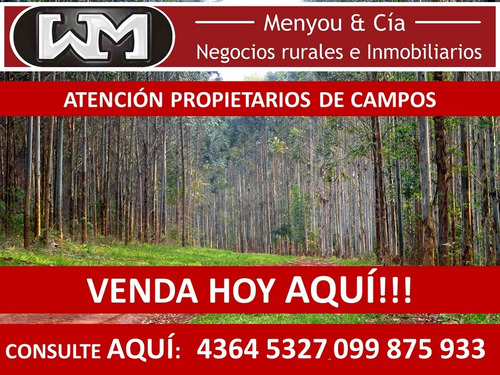 Imagen 10 de 10 de Compra Venta De Campo De 200has A 2500has Forestal Ganadero