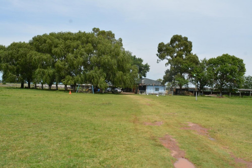 Imagen 7 de 24 de Venta De Campo De 2 Hectáreas En Guernica