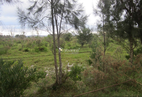 Campo En Venta En Cuchilla Alta Canelones De 21 Hectáreas Ref. Y 150