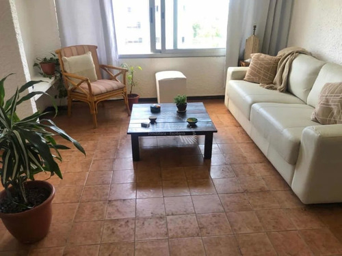 Imagen 4 de 12 de Apartamento En Venta En Punta Del Este, Roosevelt