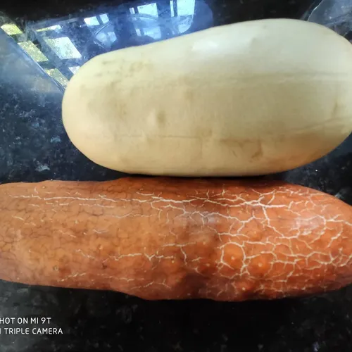 Pepino Rojo Ucraniano Craquelado Sobre Semillas