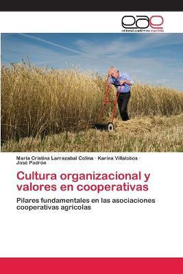 Libro Cultura Organizacional Y Valores En Cooperativas - ...