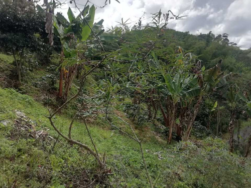 Imagen 25 de 30 de Vendo Finca En Avenida Condina Precio De Oportunidad