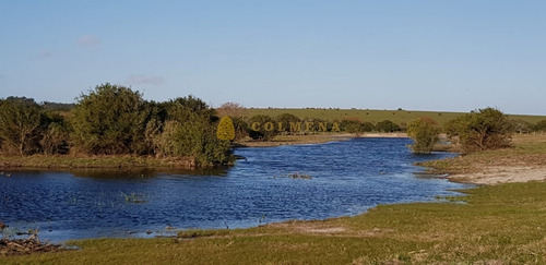 Campo De 20 Has Muy Cerca Del Faro Jose Ignacio - Consulte !!!!!!- Ref: 1436
