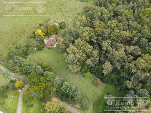 Imagen 2 de 28 de Quinta En Venta En Abasto, Con Casa De Campo Sobre Lote De 26.103 M2