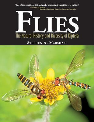 Flies: The Natural History And Diversity Of Diptera - Ste...