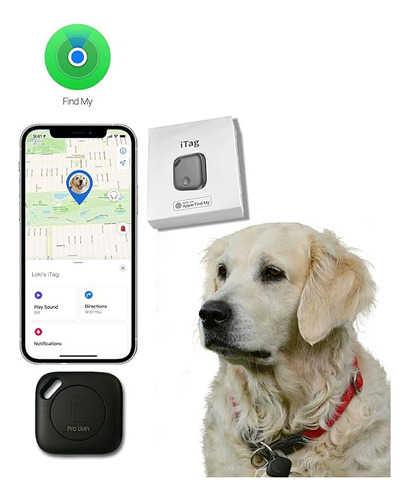 Mascotas Living Gps Y Inteligente Fitness Para Perros Y Gato