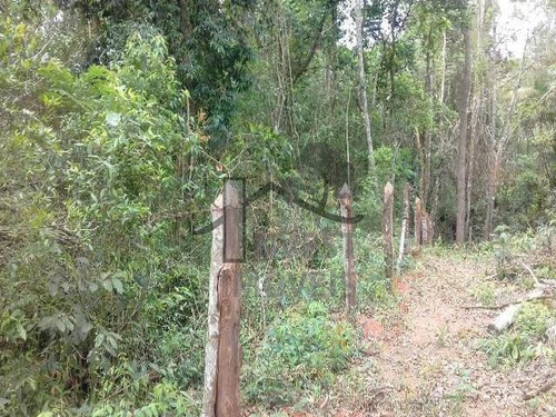 Imagem 3 de 4 de Cód 2940 - Ótimo Terreno Com 4.000 M². - 2940