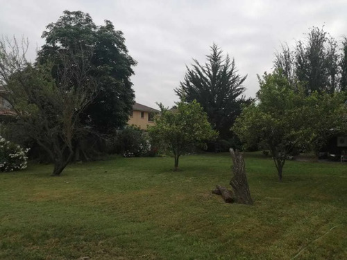 Venta Parcela Buin. Region Metropolitana (171379)