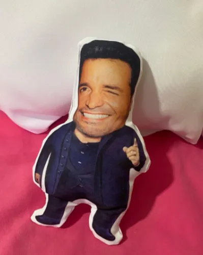 Almohada De Chayanne Mercado Libre Almohadon Chayanne Chiquito