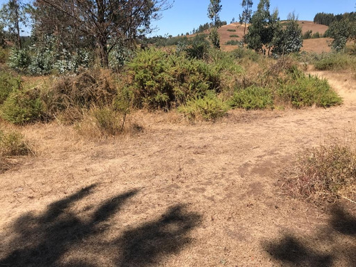 Vendo Terreno De 5 Hectaréas En Temuco, Comuna De Galvarino.