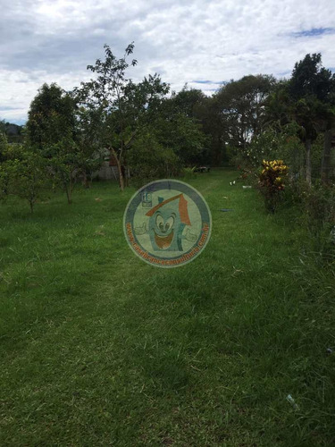 Imagem 3 de 6 de Terreno, Balneário Santa Júlia, Itanhaém - R$ 120 Mil, Cod: 3329 - V3329