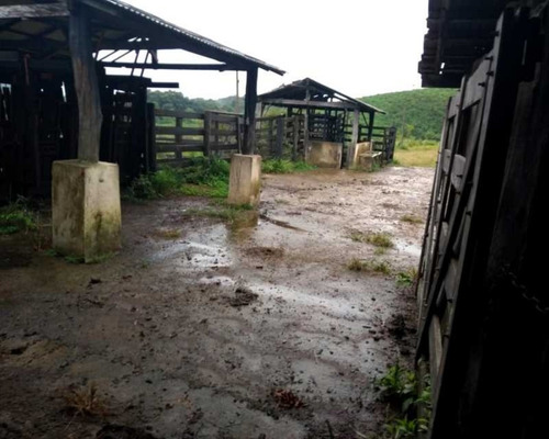 Imagem 4 de 30 de Fazenda - 0132 - 32820420
