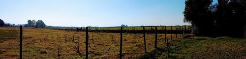Campo En Venta En Capitán Sarmiento