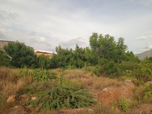 Imagen 3 de 4 de En Venta Terreno En Lagunillas Estado Mérida
