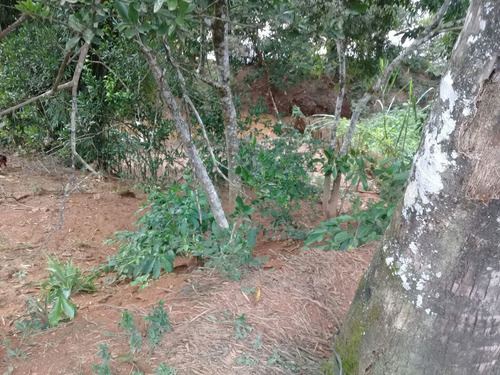 Imagem 10 de 14 de Chacara Em Vista Alegre Distrito De Cataguases Mg
