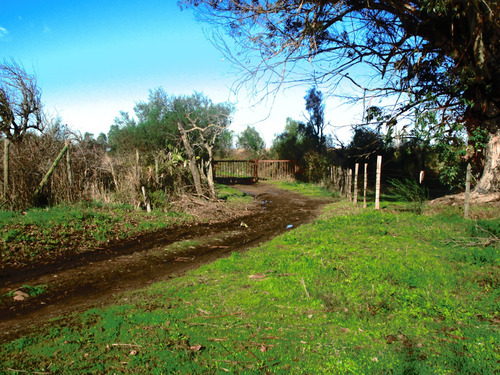 Propiedad Agrícola De Riego Con Derechos De Aguas Río Ñuble