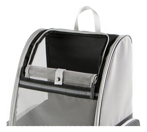 Estera Del Pie De La Mochila Del Perrito Del Gatito Negro