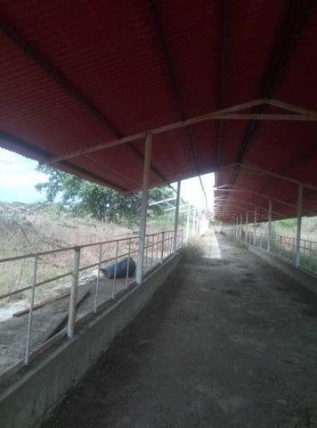 Imagen 9 de 14 de Finca En Venta 23-20387 Daisbelis Tarazona 0424-2925931
