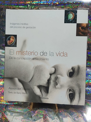 Misterio De La Vida De La Concepcion Al Nacimiento