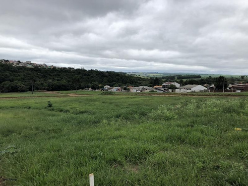 Imagem 11 de 15 de Terreno Para Venda Em Ponta Grossa, Neves - L-eco31_1-859684